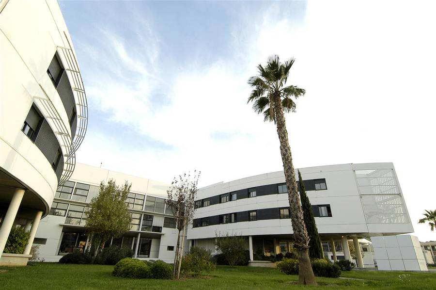 SMR Addictologie — CH Toulon