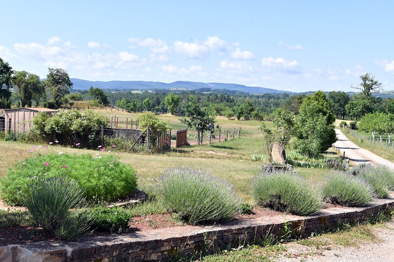 HJ PSY GEN GABRIAC CLE CHAMPS CH MARIE — vue