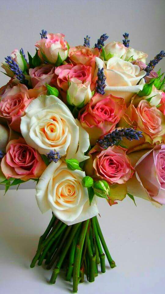 HJ LA PASSERELLE — vue