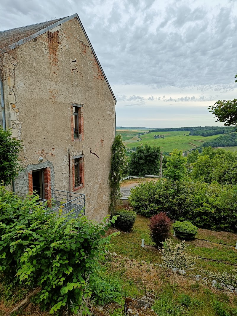 HJ ADULTES SANCERRE