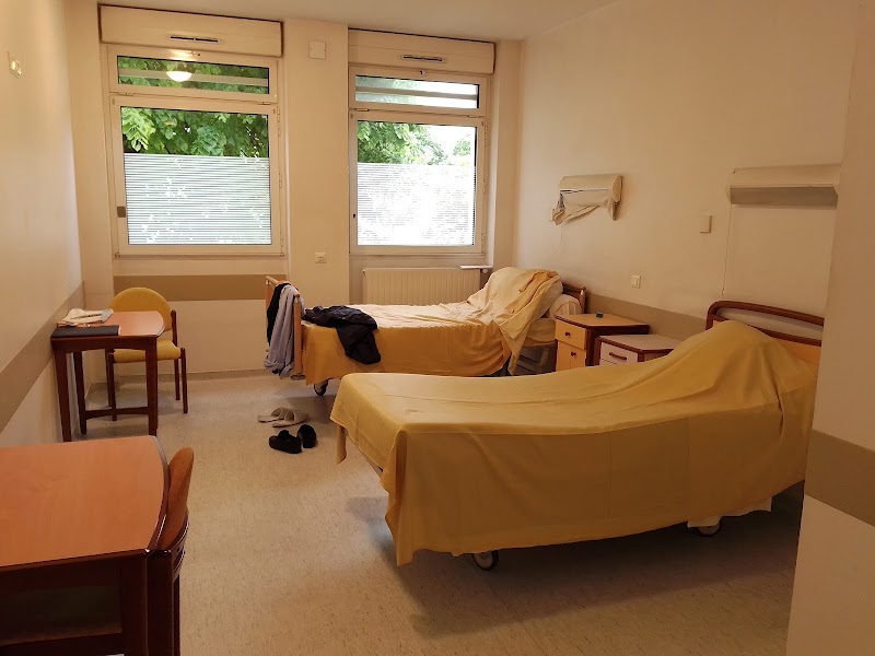 CH LA CHARTREUSE DIJON