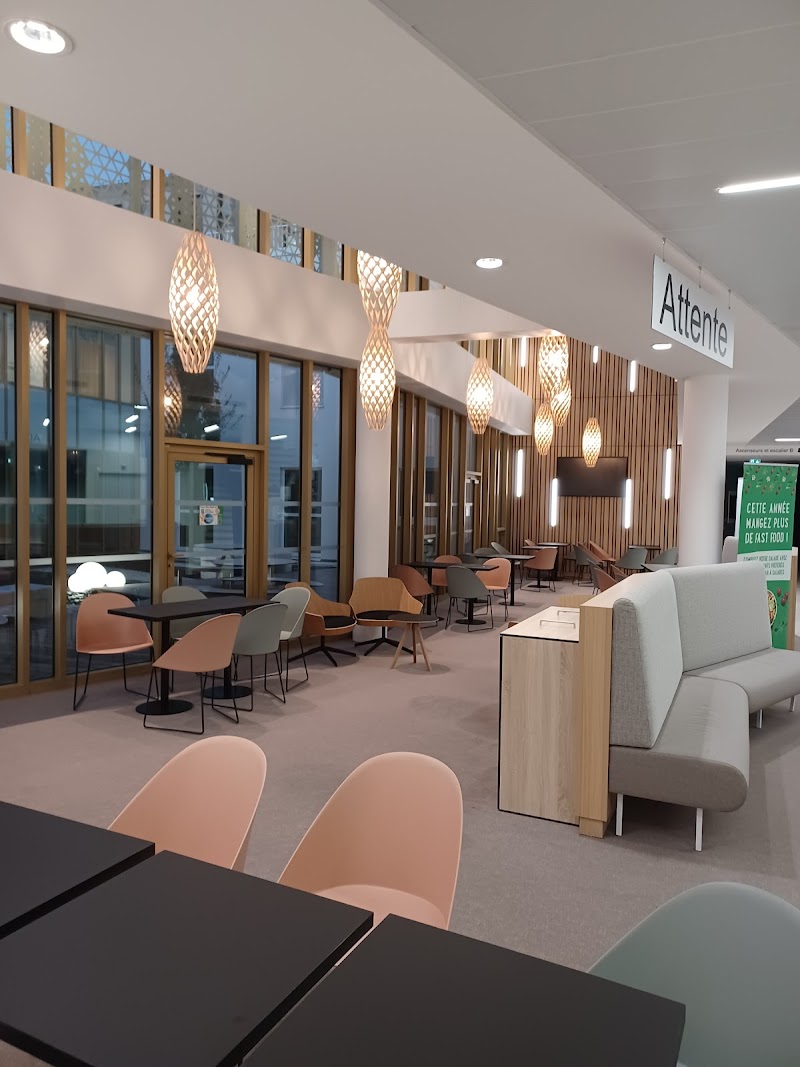 HOPITAL DE JOUR  BROCELIANDE — vue