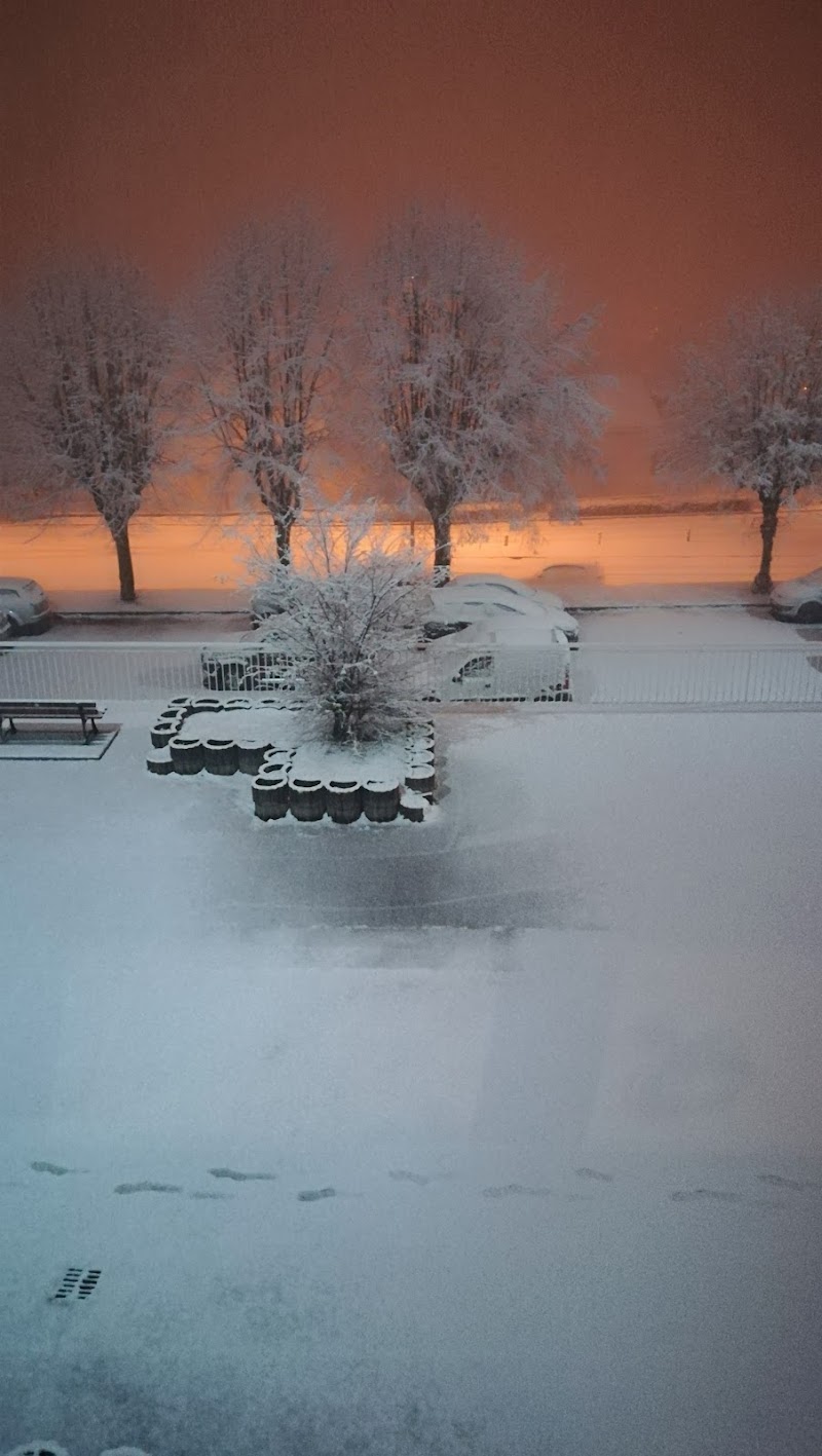 HDJ ADULTE ROMANS ZOLA