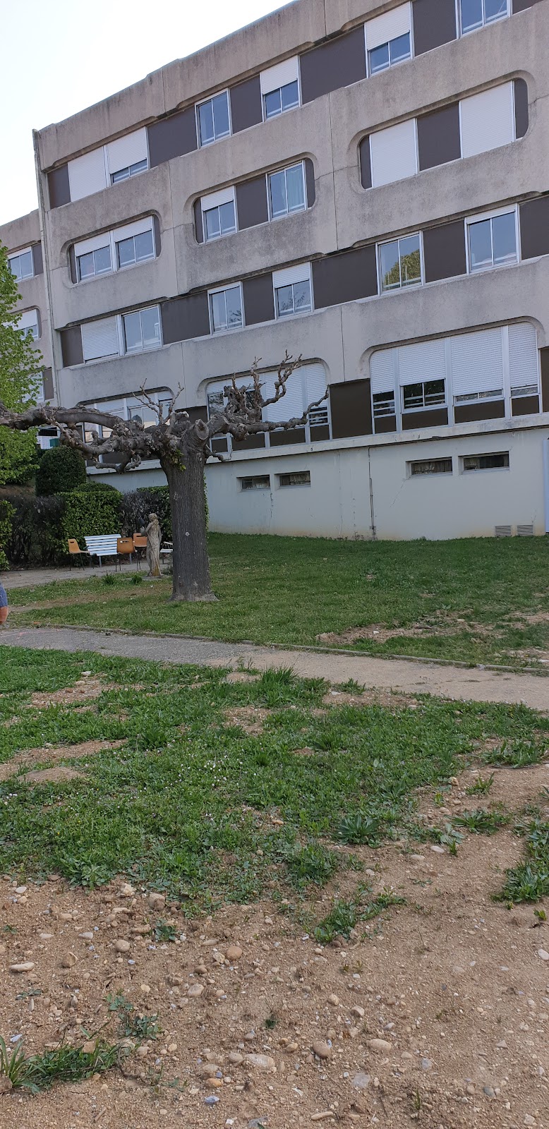 HDJ DE REHAB PSYCHOSOC MONTELIMAR — vue