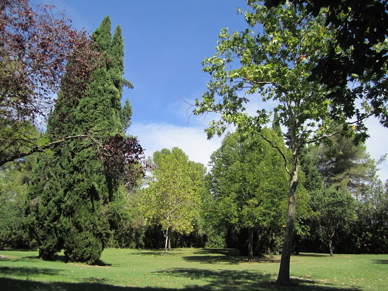 CHS LE MAS CAREIRON UZES