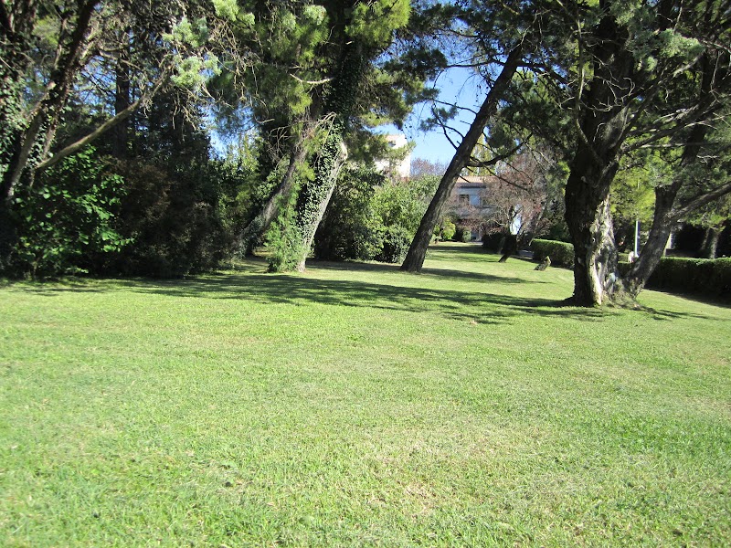 HJ PSY GEN ZARIFIAN UZES MAS CAREIRON