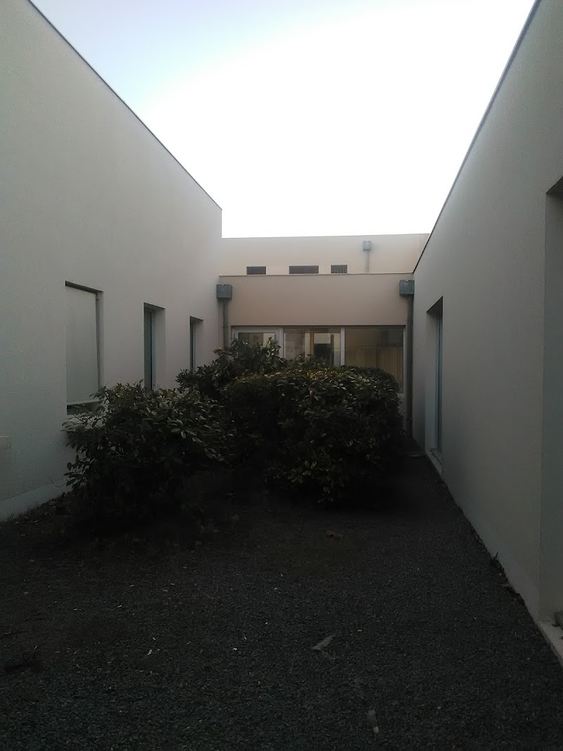 HJ PSY GEN ZARIFIAN UZES MAS CAREIRON — vue