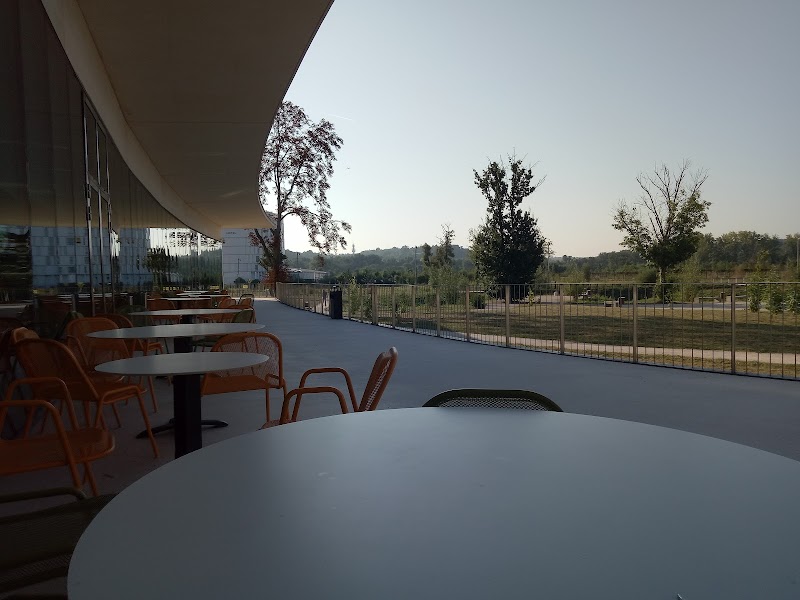 CH GERARD MARCHANT TOULOUSE — vue