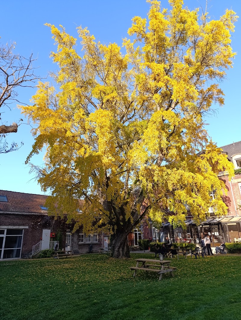 Clinique Les Bruyères — emeis