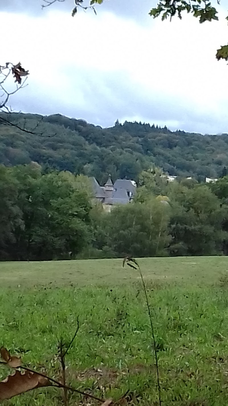 CHS JP FALRET LEYME PSY ET SMR