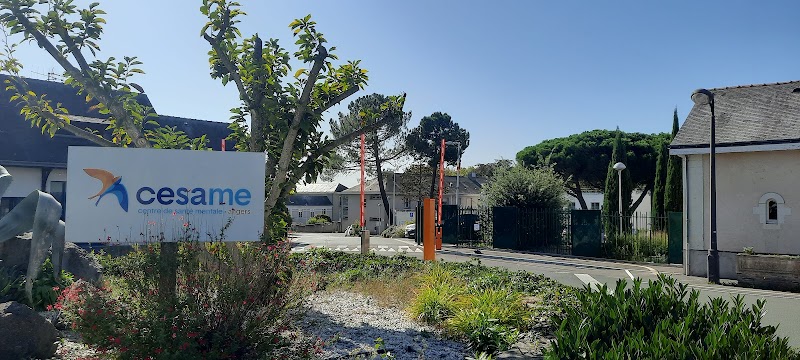 CESAME CHS STE GEMMES SUR LOIRE