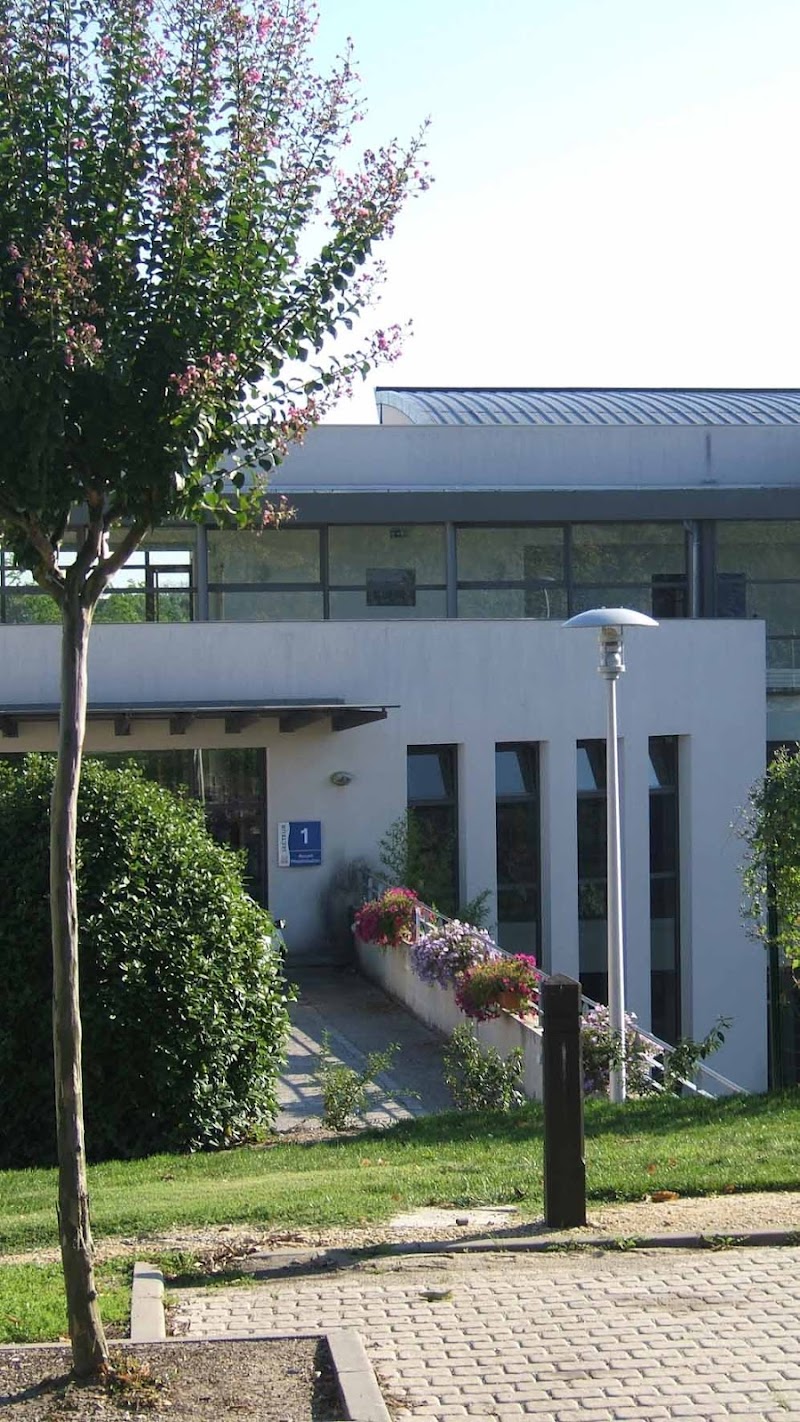 CESAME CHS STE GEMMES SUR LOIRE — vue