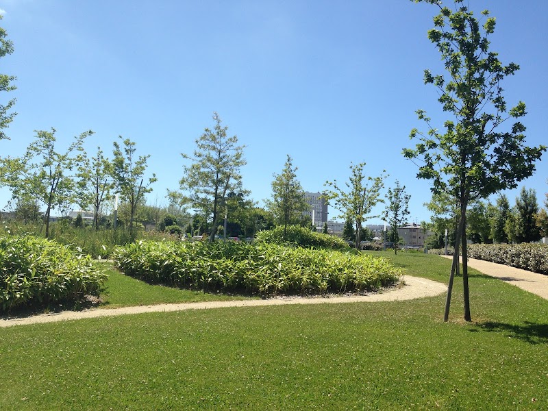 UNITE MEDICO-PSYCHOLOGIQUE SITE SCORFF