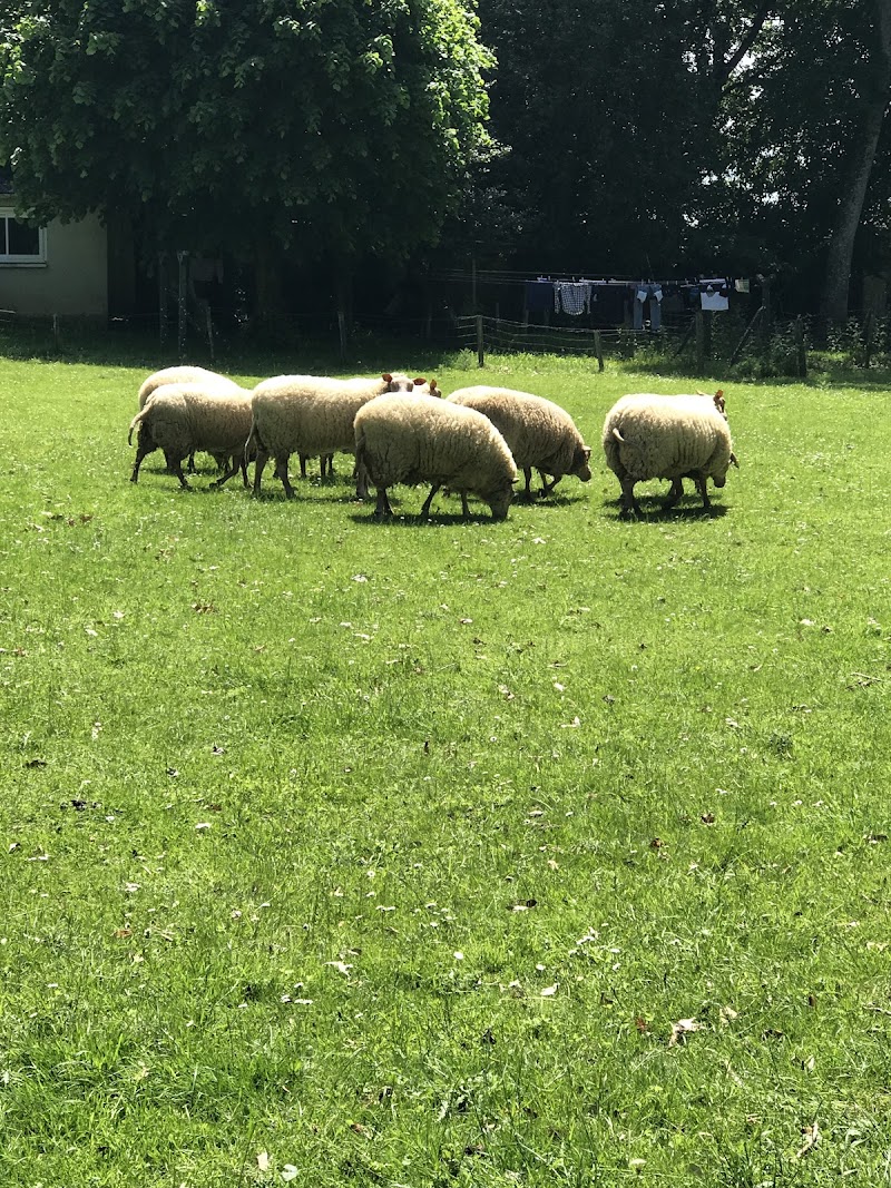 Clinique de la Bréhonnière — HPA