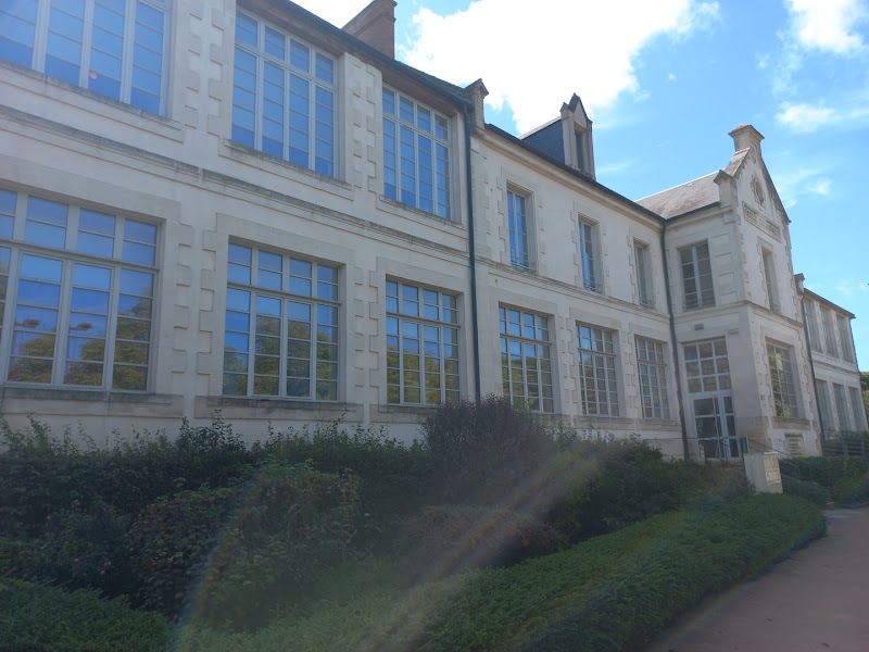 CMP CATTG ADULTES VARZY