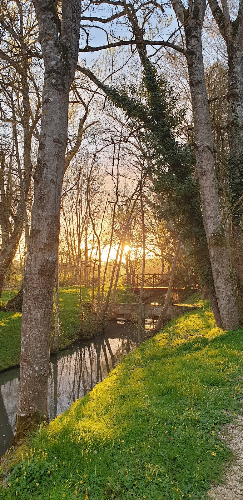 CALME — Illiers-Combray