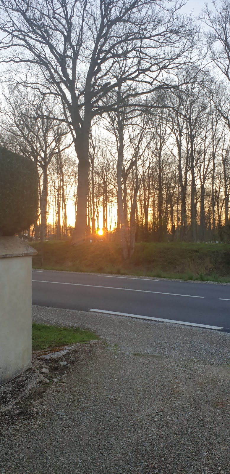 CALME — Illiers-Combray