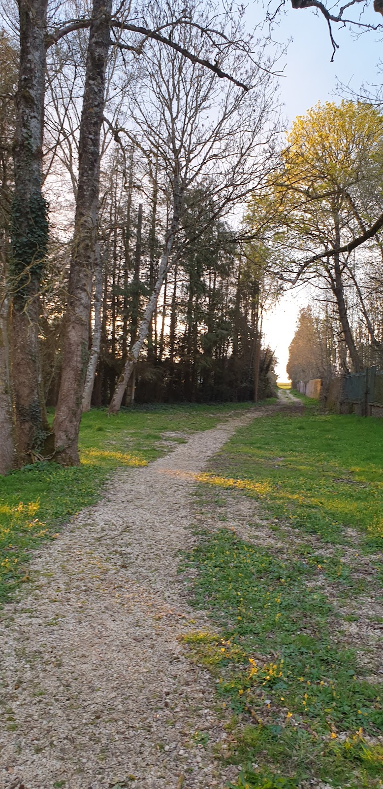 CALME — Illiers-Combray