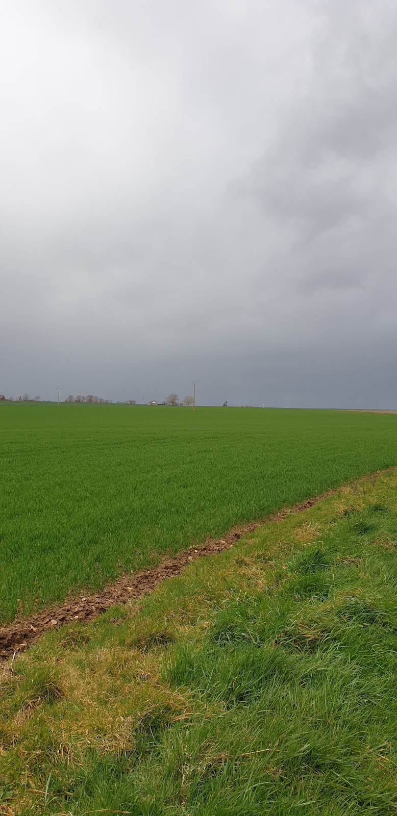 CALME — Illiers-Combray — vue