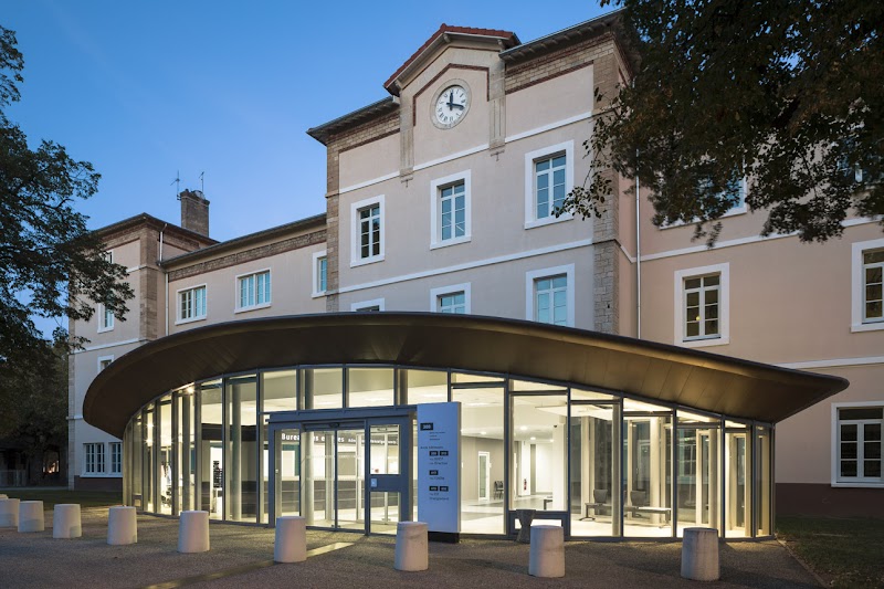 LE VINATIER PSY UNIV LYON METROPOLE