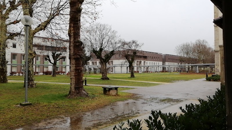 LE VINATIER PSY UNIV LYON METROPOLE