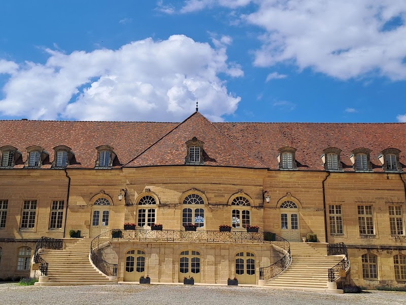 CHS ST REMY ET NFC SITE SAINT REMY