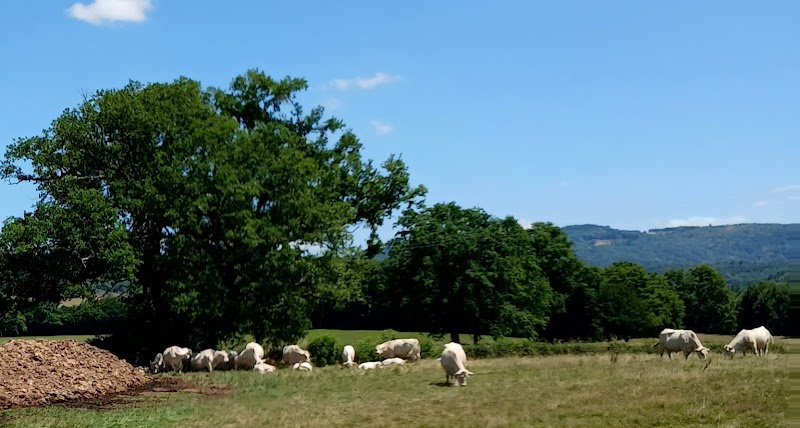 CMP HDJ ENFANTS LE CREUSOT