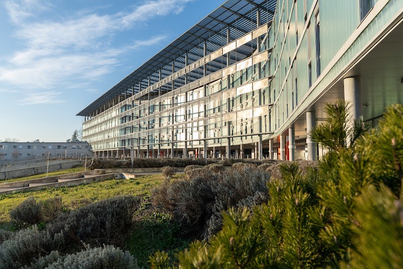 CHU Dijon — HJ Addictologie