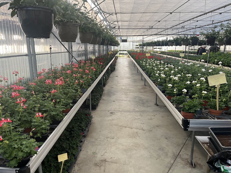 ATELIER THERAPEUTIQUE HORTICOLE OASIS