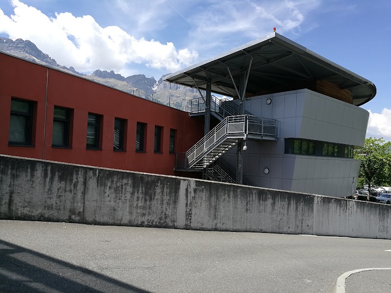 PSYCHIATRIE DE LIAISON HDPMB — vue