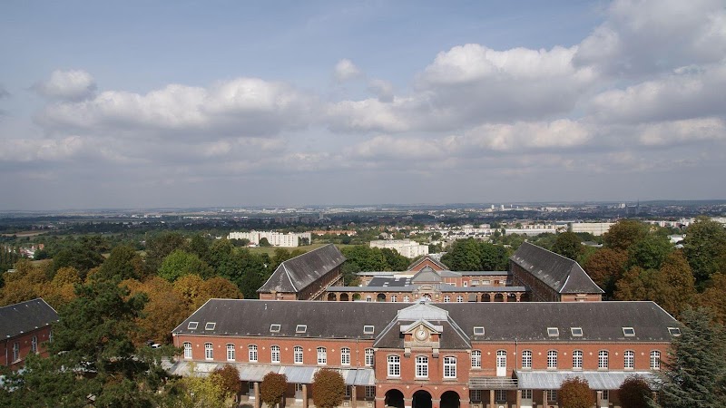 HDJ LES FOUGÈRES ADULTE