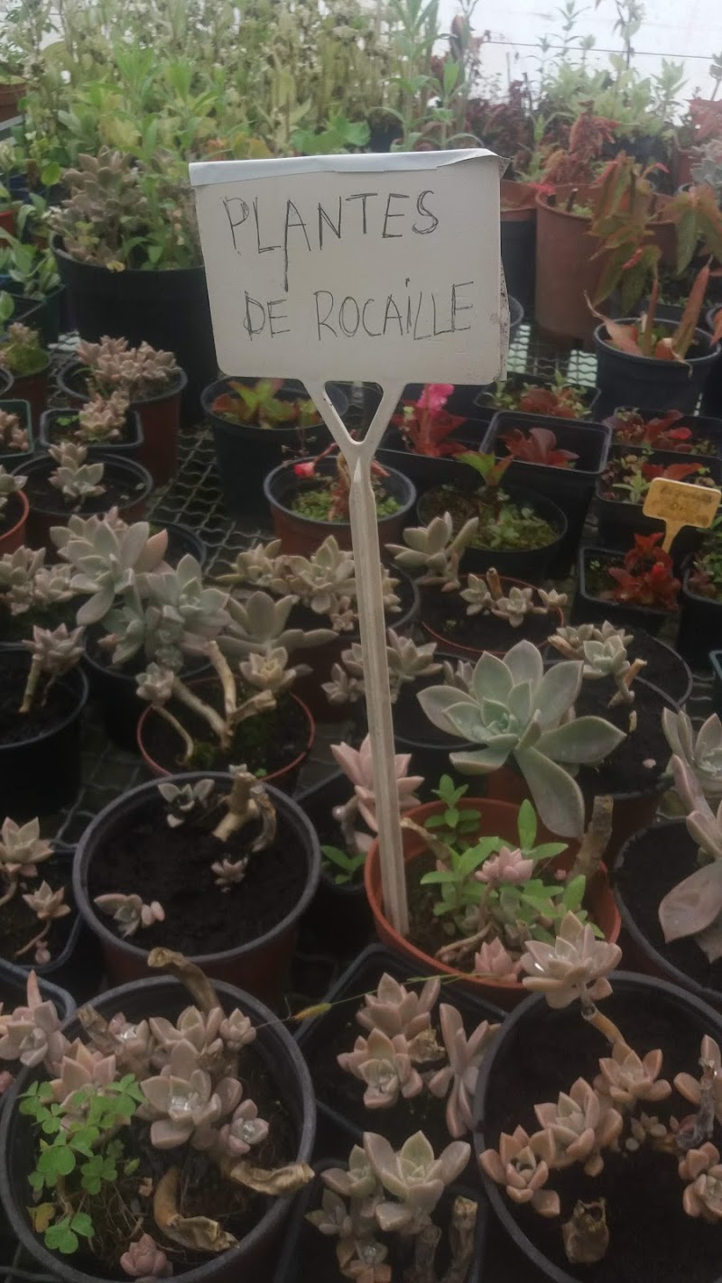 HJ PIJ ET PLAC FAM THERAP CASTRES