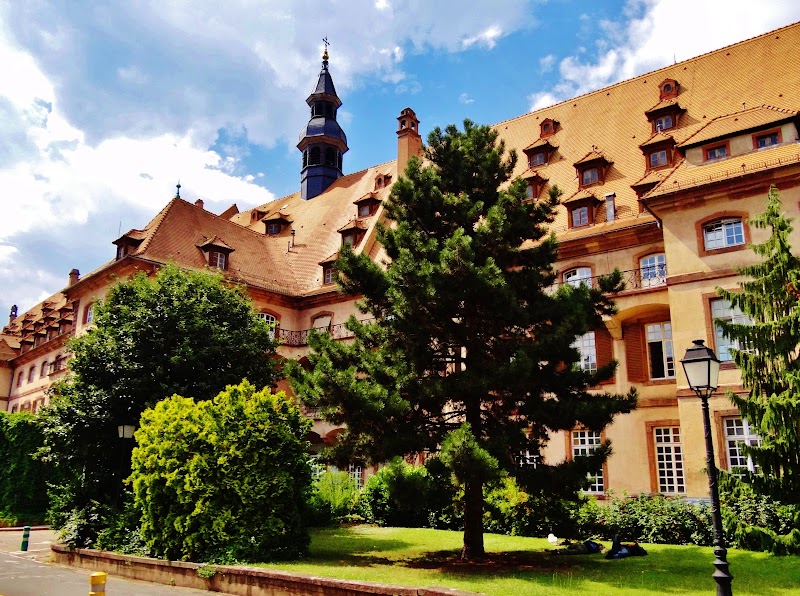 CHU Strasbourg — HJ Addictologie