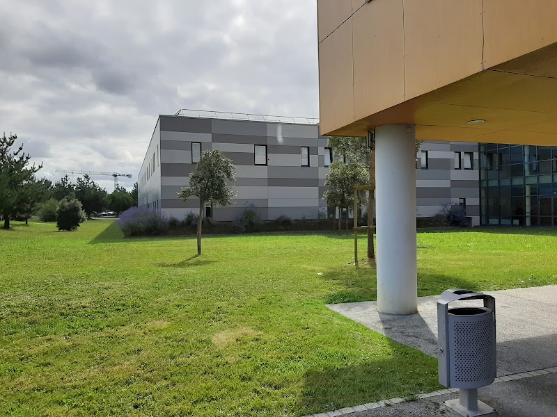 HDJ ADULTES LES SABLES D'OLONNE