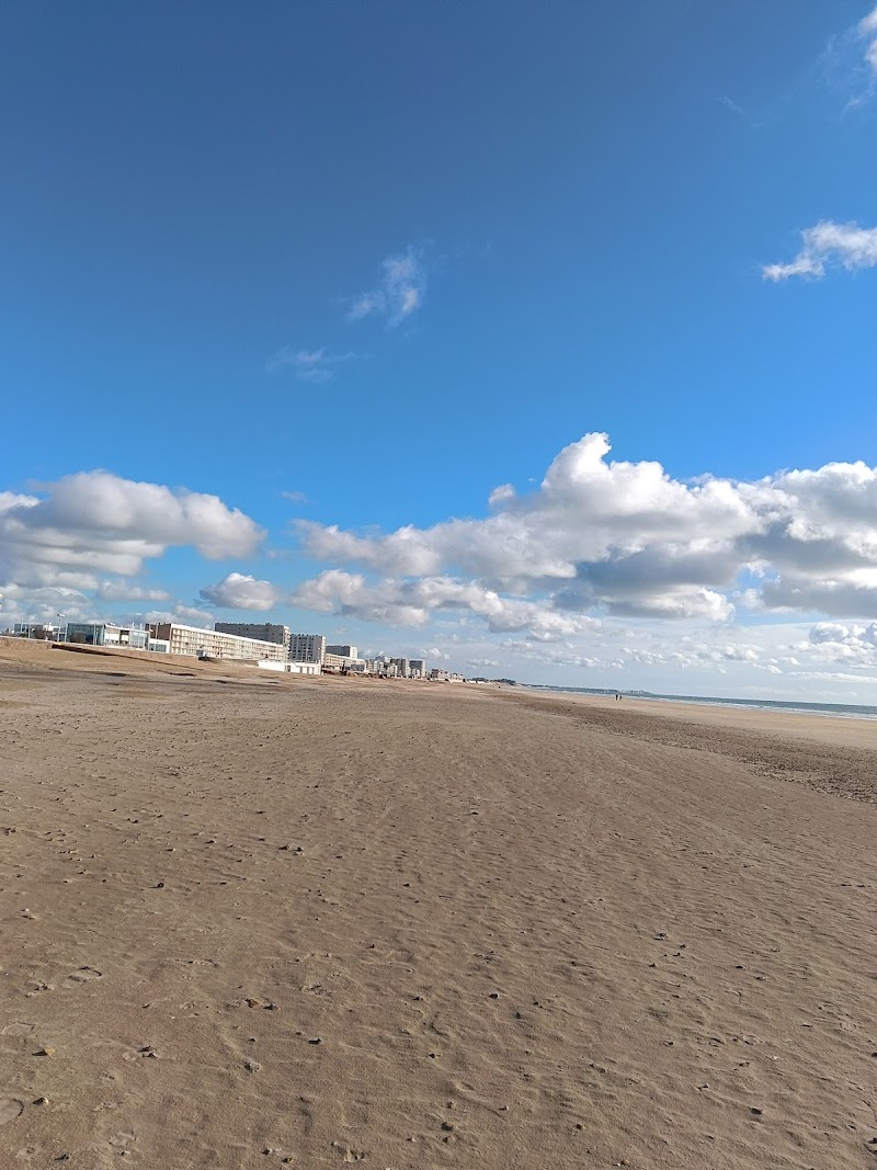 HDJ  INF JUV   CMP CATTP  CHALLANS