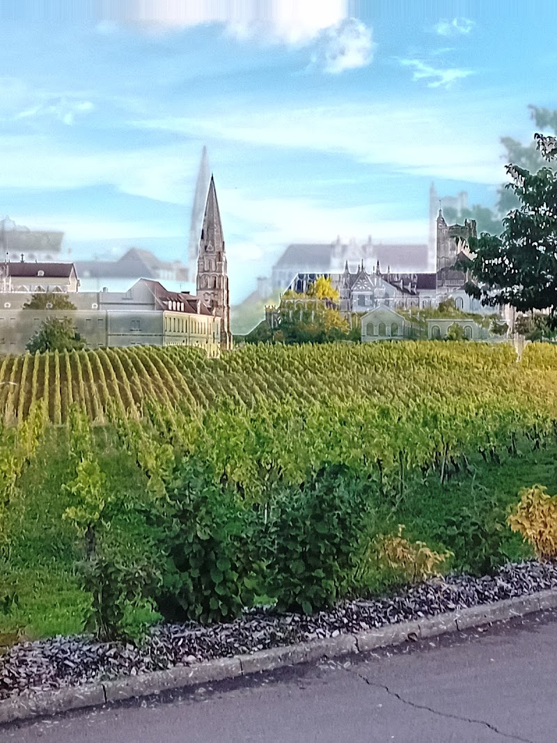 UNITE HOSPITALISATION DE JOUR V MAGNAN