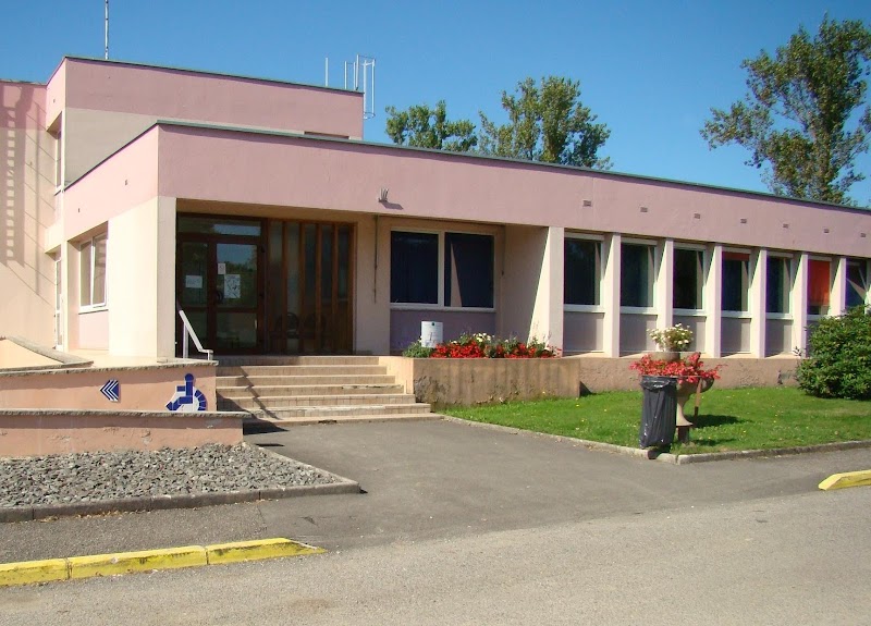 CHS ST REMY ET NFC CENTRE PIERRE ENGEL — vue