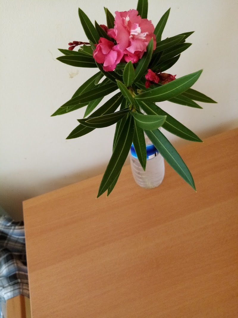 HDJ DE CAPESTERRE BELLE EAU