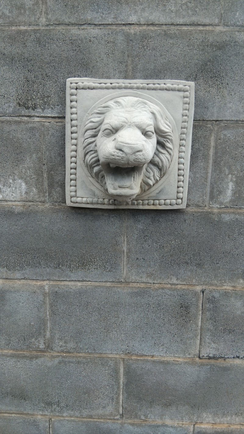 EPSMR-RUE DES DAHLIAS (ST BENOIT)