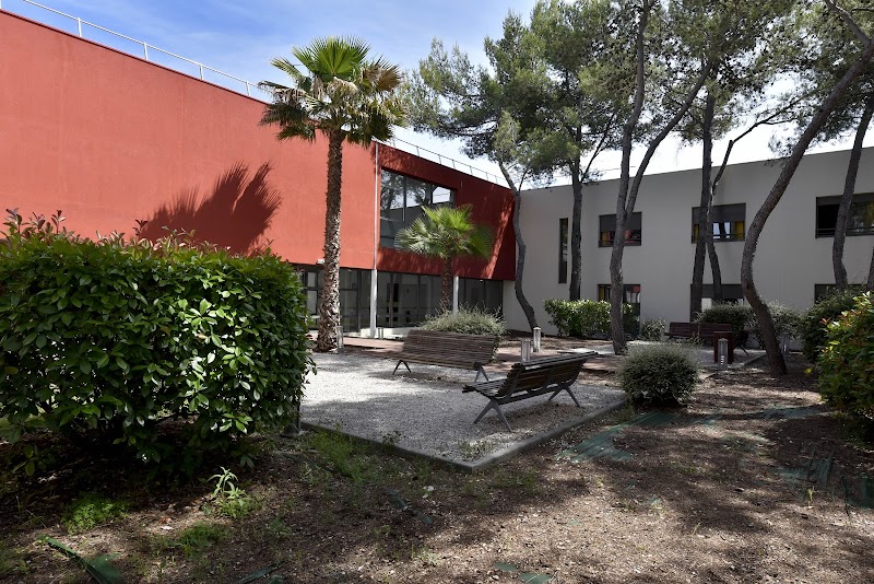 CL PIC ST LOUP ST CLEMENT DE RIVIERE