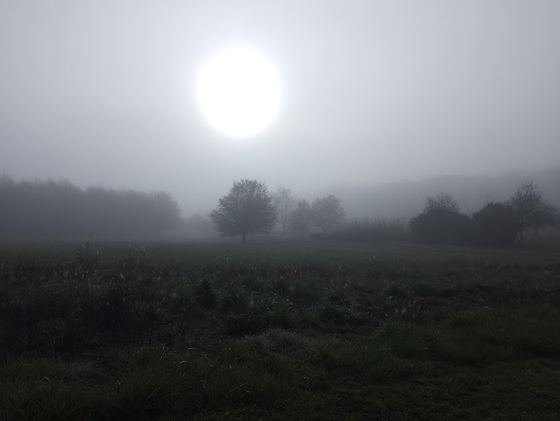 A. N. A. S. LE COURBAT