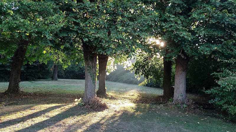 CLINIQUE DES ESSARTS