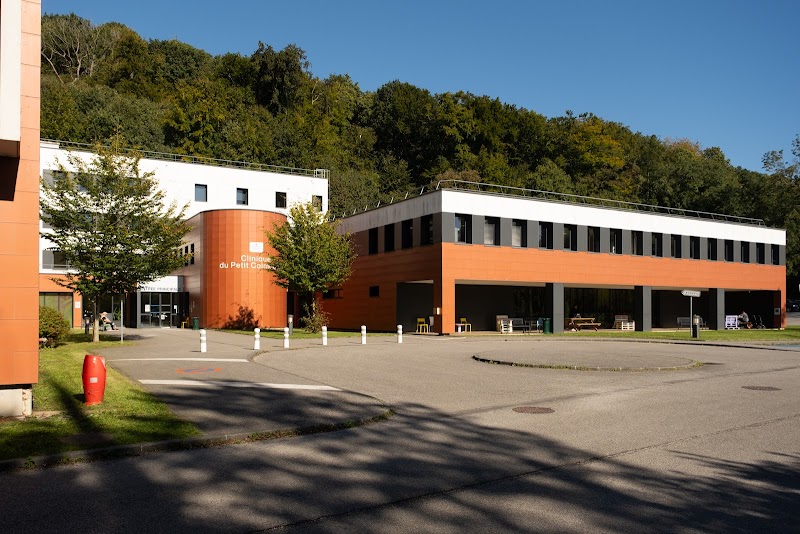 SSR PETIT COLMOULINS