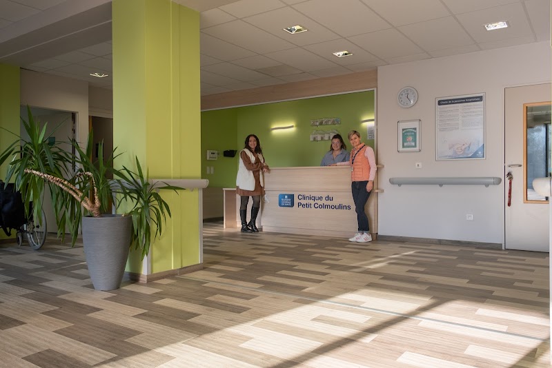 SSR PETIT COLMOULINS — vue