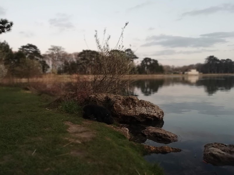 INSTITUT MGEN DE LA VERRIERE