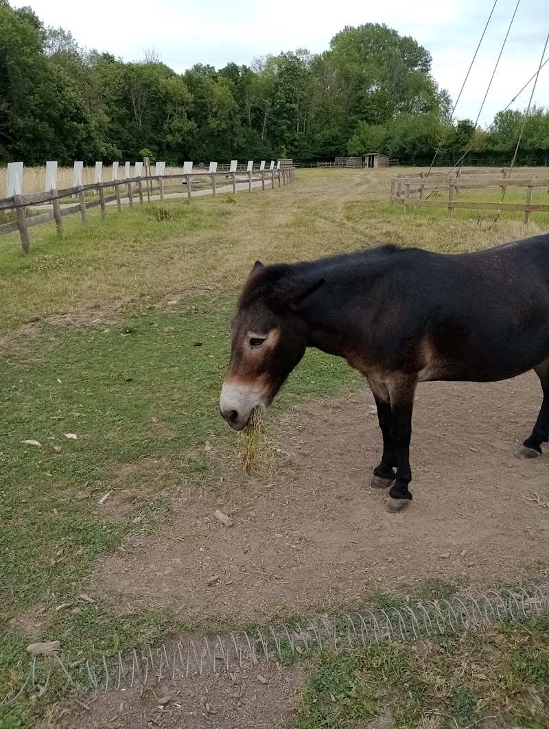 AIHP CENTRE ARMANCON