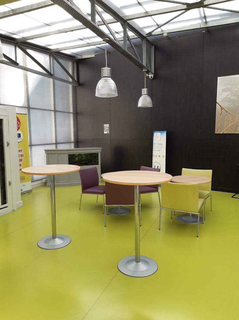 CLINIQUE DES PLATANES