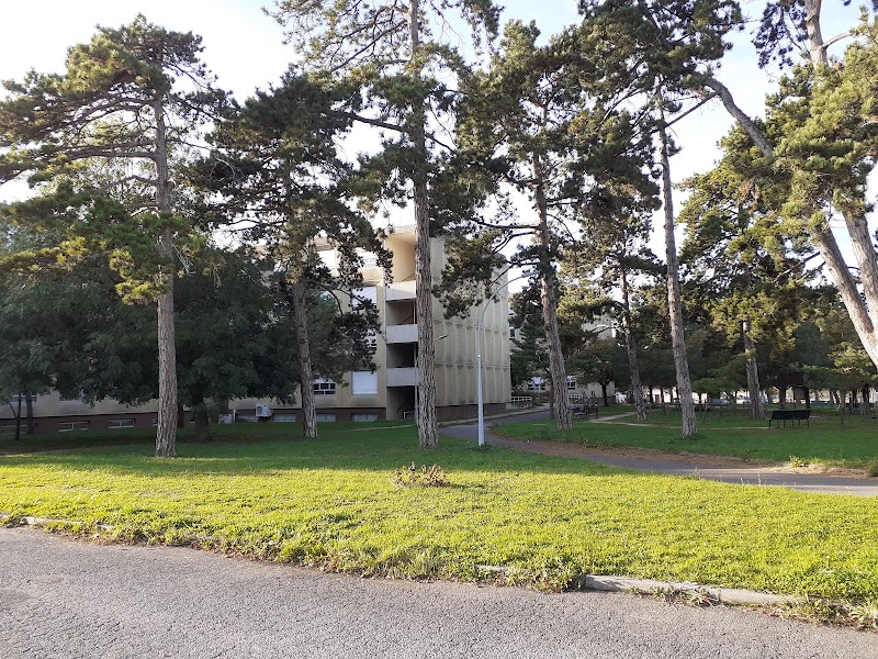 GHU APHP HM SITE E ROUX