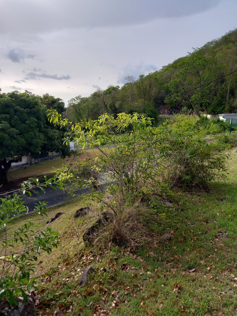 CENTRE HOSPITALIER L-D. BEAUPERTHUY