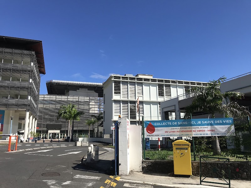 CHU SITE FELIX GUYON (SAINT DENIS)